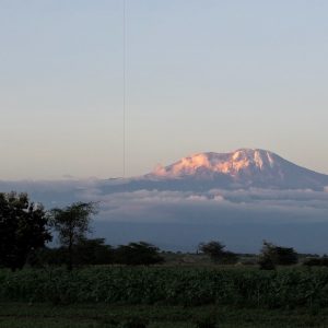 voyage Tanzanie