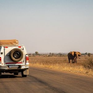 Passer des vacances authentiques dans les terres sauvages kenyanes