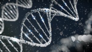 Molécule d'ADN lors d'un test génétique