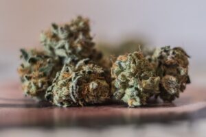 Mini buds bio